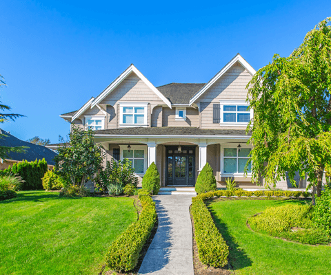 Dexedrine Detox ProgramsScotland GA